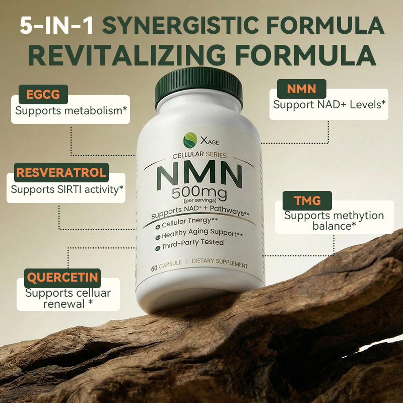 NMN Supplement – 15,000mg Total NMN per Bottle – High-Potency Formula Supporting NAD⁺ Pathways, Cellular Energy & Healthy Aging – 60 Capsules