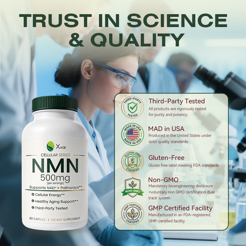 NMN Supplement – 15,000mg Total NMN per Bottle – High-Potency Formula Supporting NAD⁺ Pathways, Cellular Energy & Healthy Aging – 60 Capsules