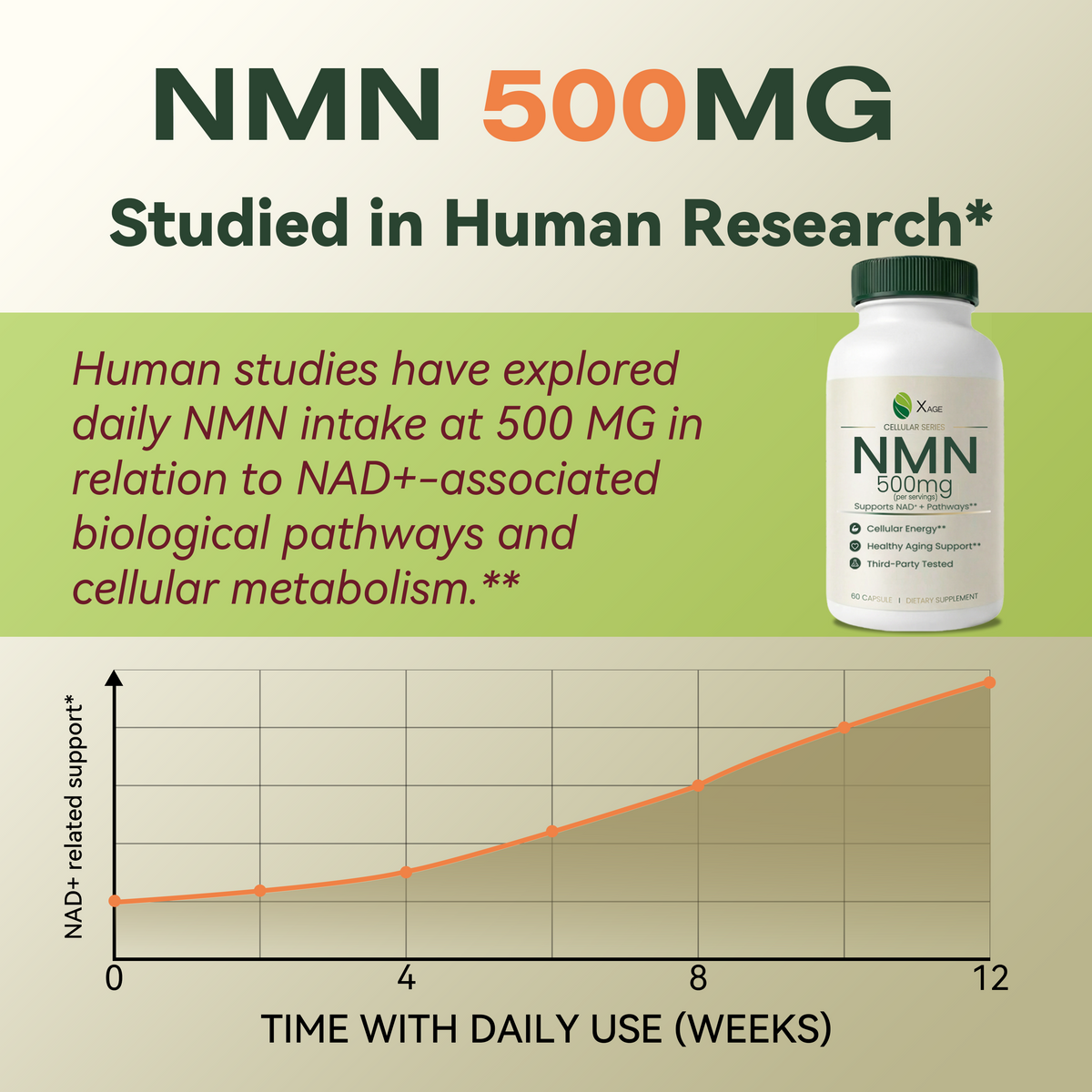 NMN Supplement – 15,000mg Total NMN per Bottle – High-Potency Formula Supporting NAD⁺ Pathways, Cellular Energy & Healthy Aging – 60 Capsules