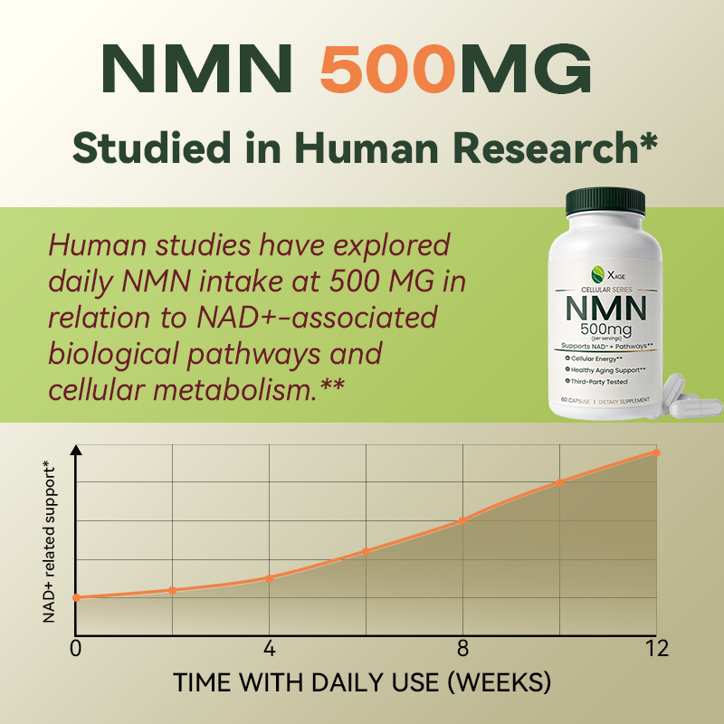 NMN Supplement – 15,000mg Total NMN per Bottle – High-Potency Formula Supporting NAD⁺ Pathways, Cellular Energy & Healthy Aging – 60 Capsules