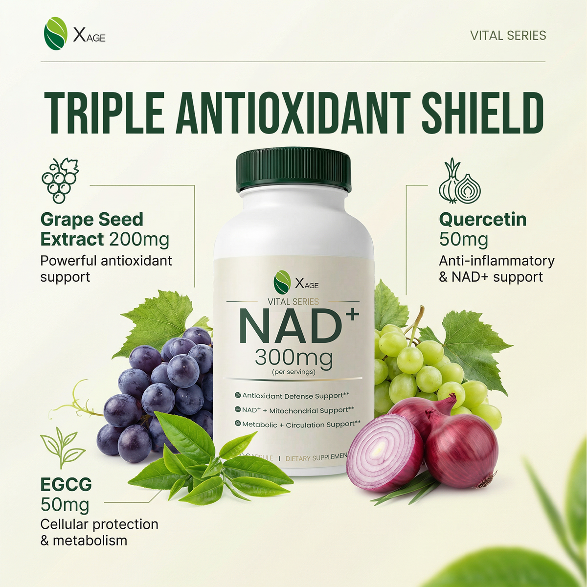Xage NAD+ Support Supplement – 9000 mg NAD+ per Bottle with PQQ, EGCG & Broccoli Sprout Extract, Supports Cellular Energy, Mental Clarity & Antioxidant Defense, Daily Vitality Formula, 60 Vegan Capsules