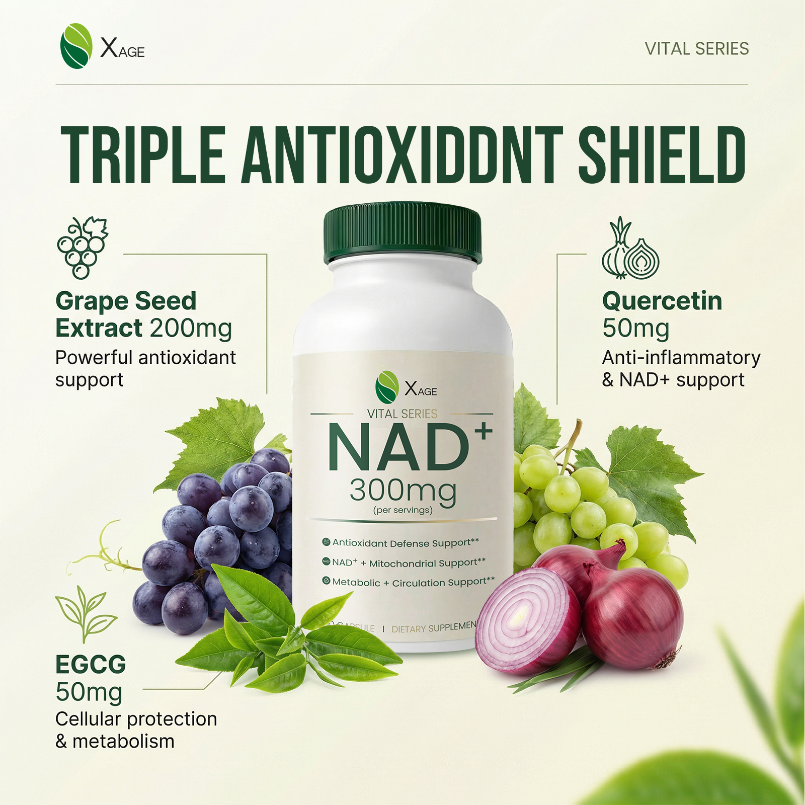 Xage NAD+ Support Supplement – 9000 mg NAD+ per Bottle with PQQ, EGCG & Broccoli Sprout Extract, Supports Cellular Energy, Mental Clarity & Antioxidant Defense, Daily Vitality Formula, 60 Vegan Capsules