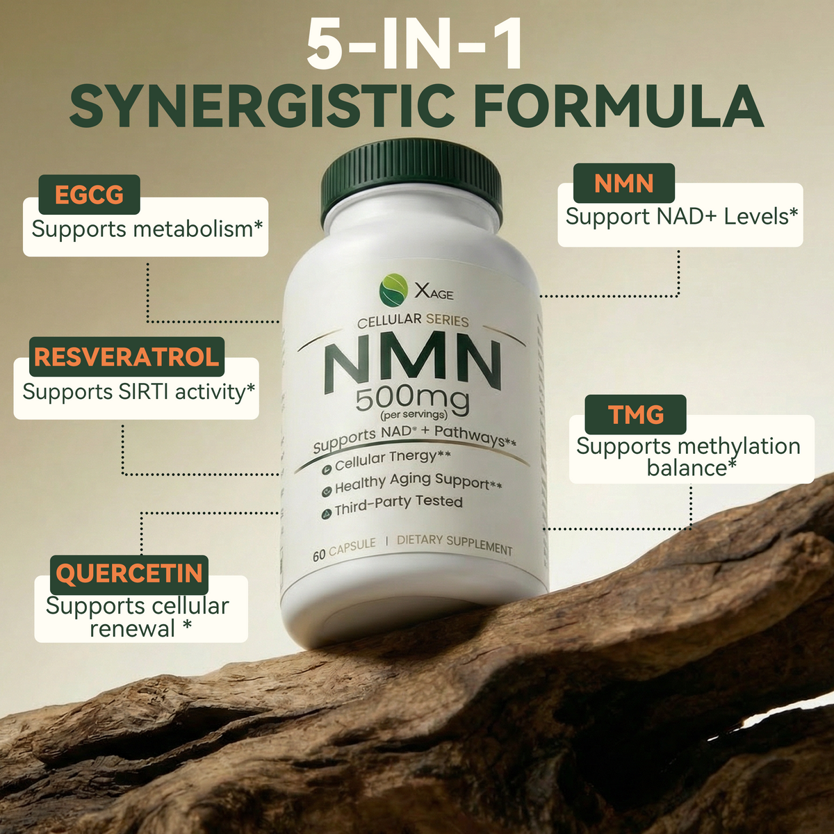 NMN Supplement – 15,000mg Total NMN per Bottle – High-Potency Formula Supporting NAD⁺ Pathways, Cellular Energy & Healthy Aging – 60 Capsules