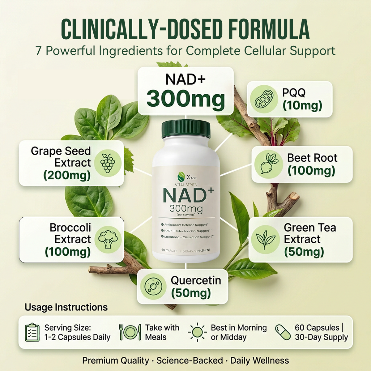 Xage NAD+ Support Supplement – 9000 mg NAD+ per Bottle with PQQ, EGCG & Broccoli Sprout Extract, Supports Cellular Energy, Mental Clarity & Antioxidant Defense, Daily Vitality Formula, 60 Vegan Capsules