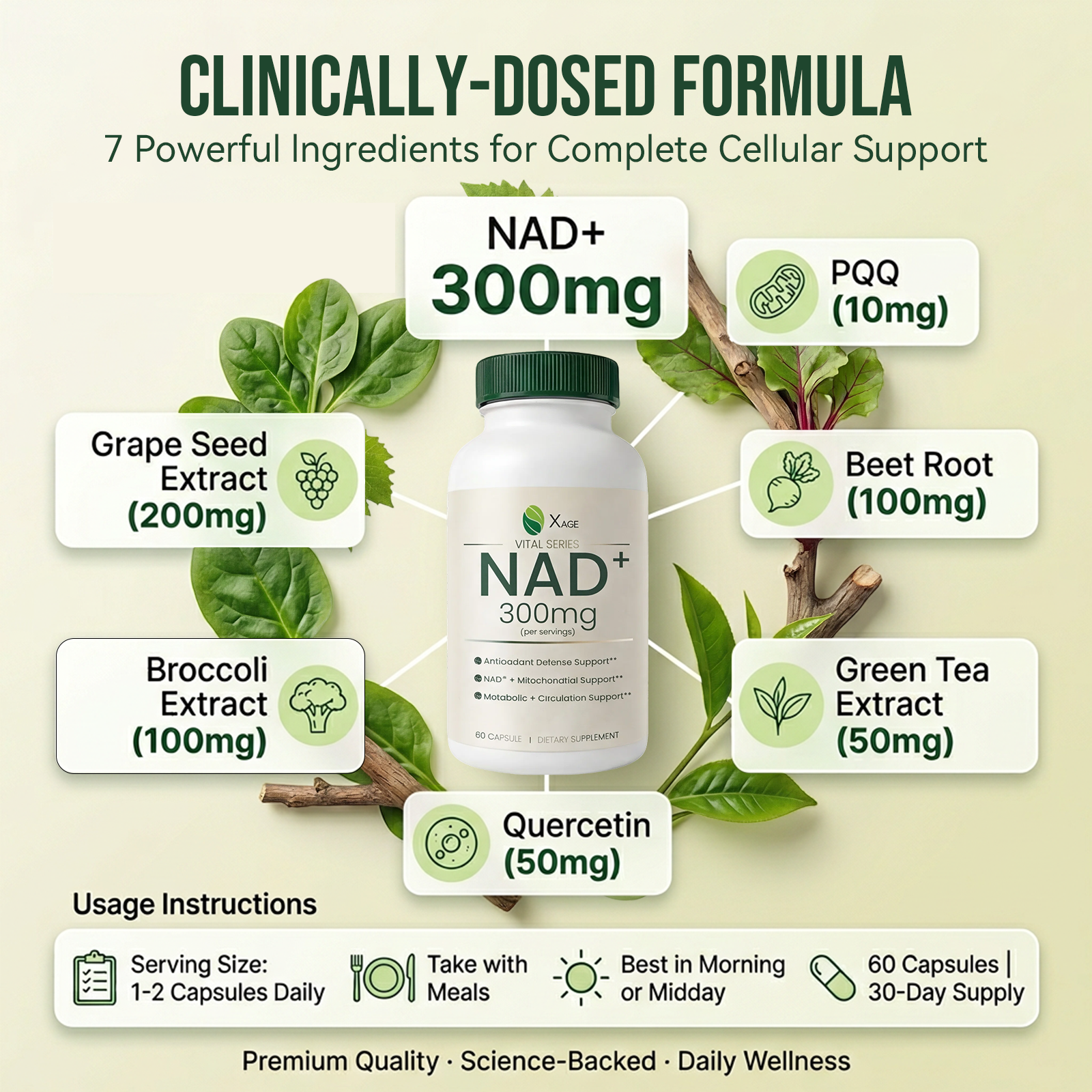 Xage NAD+ Support Supplement – 9000 mg NAD+ per Bottle with PQQ, EGCG & Broccoli Sprout Extract, Supports Cellular Energy, Mental Clarity & Antioxidant Defense, Daily Vitality Formula, 60 Vegan Capsules